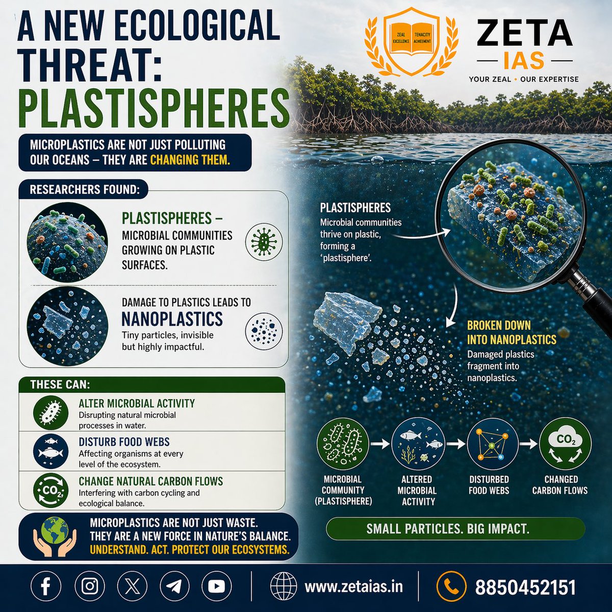 ZETA_IAS's tweet image. A new ecological concern: “Plastispheres.”

Microbes can grow on plastic surfaces.
Damaged plastics can form nanoplastics.

Potential impacts:
• Altered microbial activity
• Disturbed food webs
• Changed carbon flows

Small particles. Big implications.
#Ecology #Microplastics