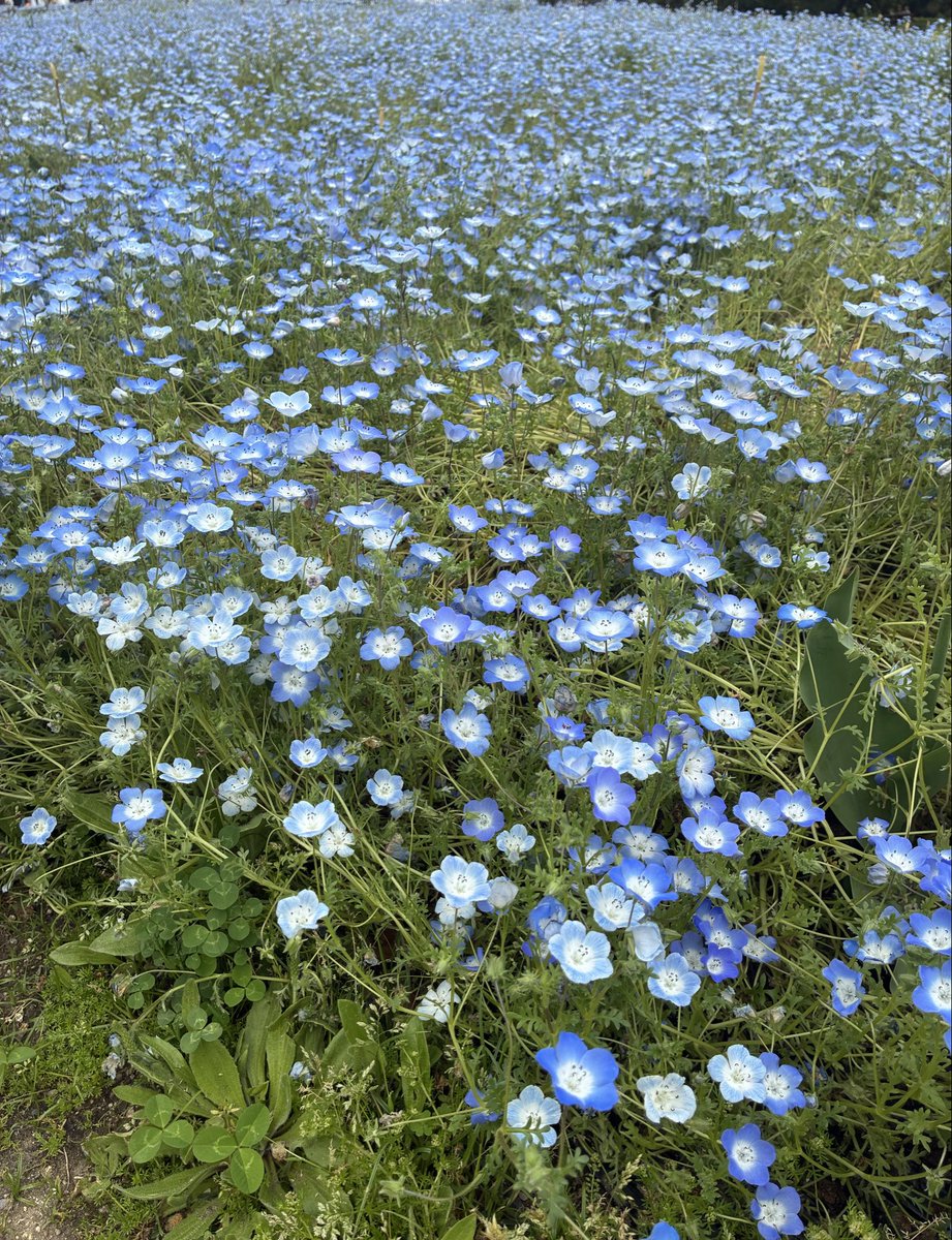 みみ‎🐰🤍Kittyeye tweet media