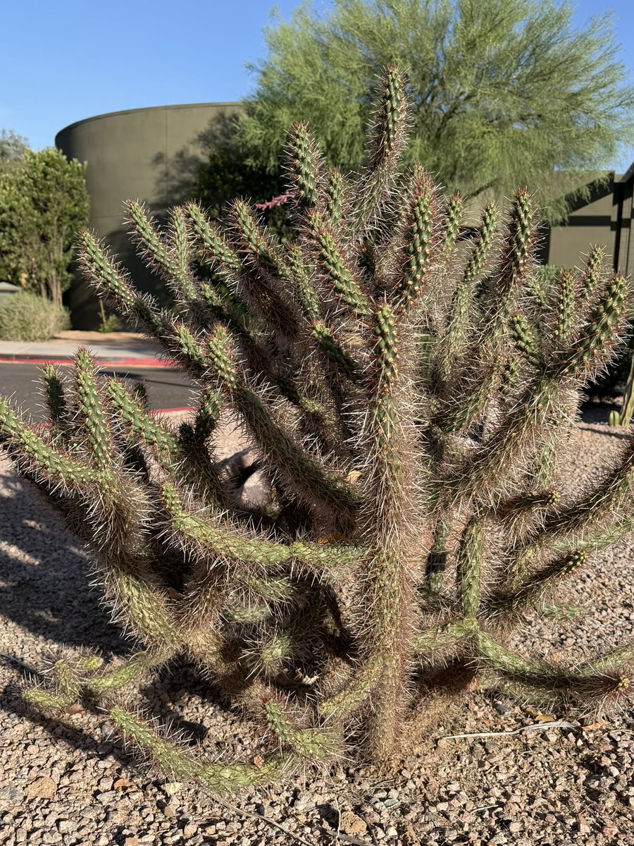 On my walk 🚶‍♀️ sun 🌞 is out