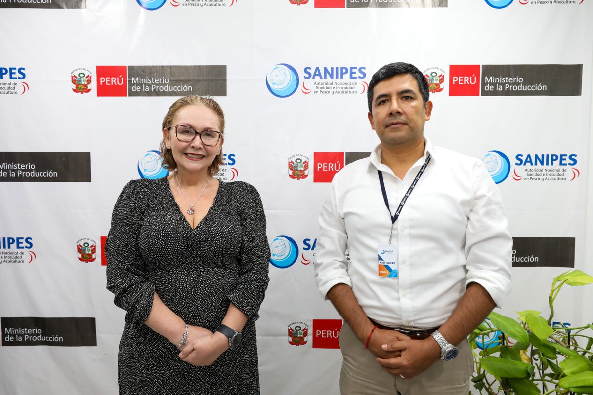 Sanipes tweet media