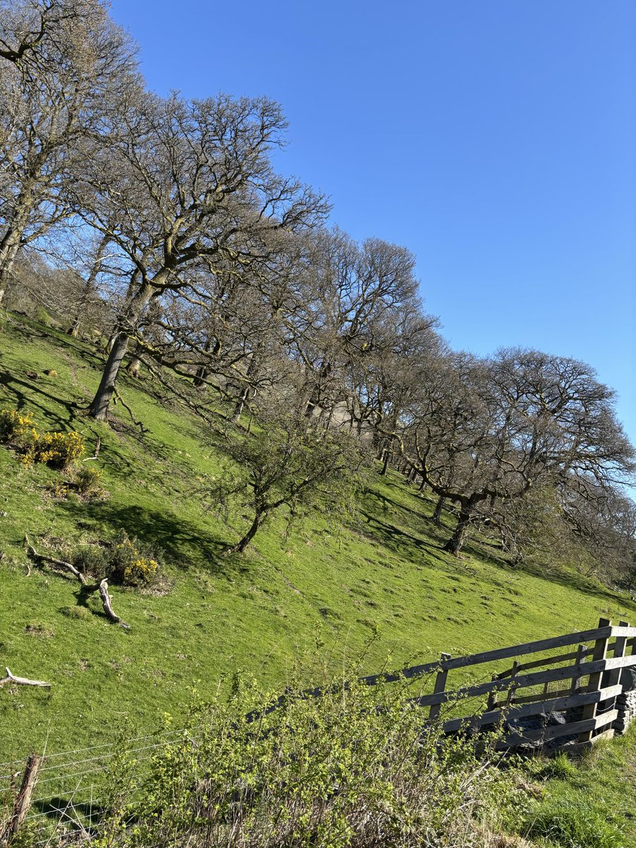 blitzer1977's tweet image. 25 miles over last 2 days getting my health back physically while still battling mentally! #PTSDwarrior #MentalWellness