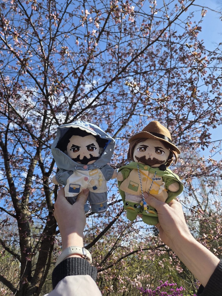 Кусок Картона tweet media