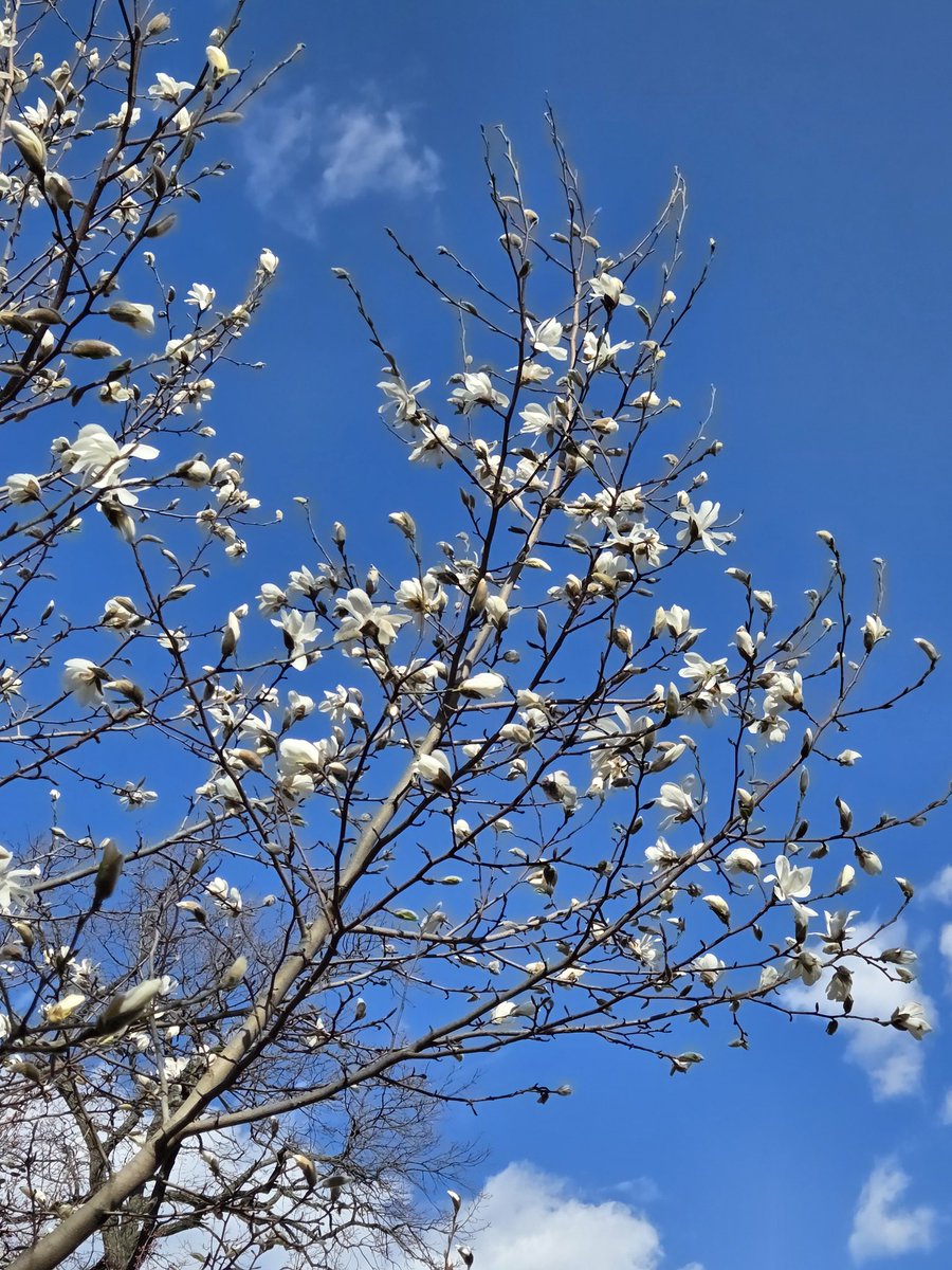 Кусок Картона tweet media