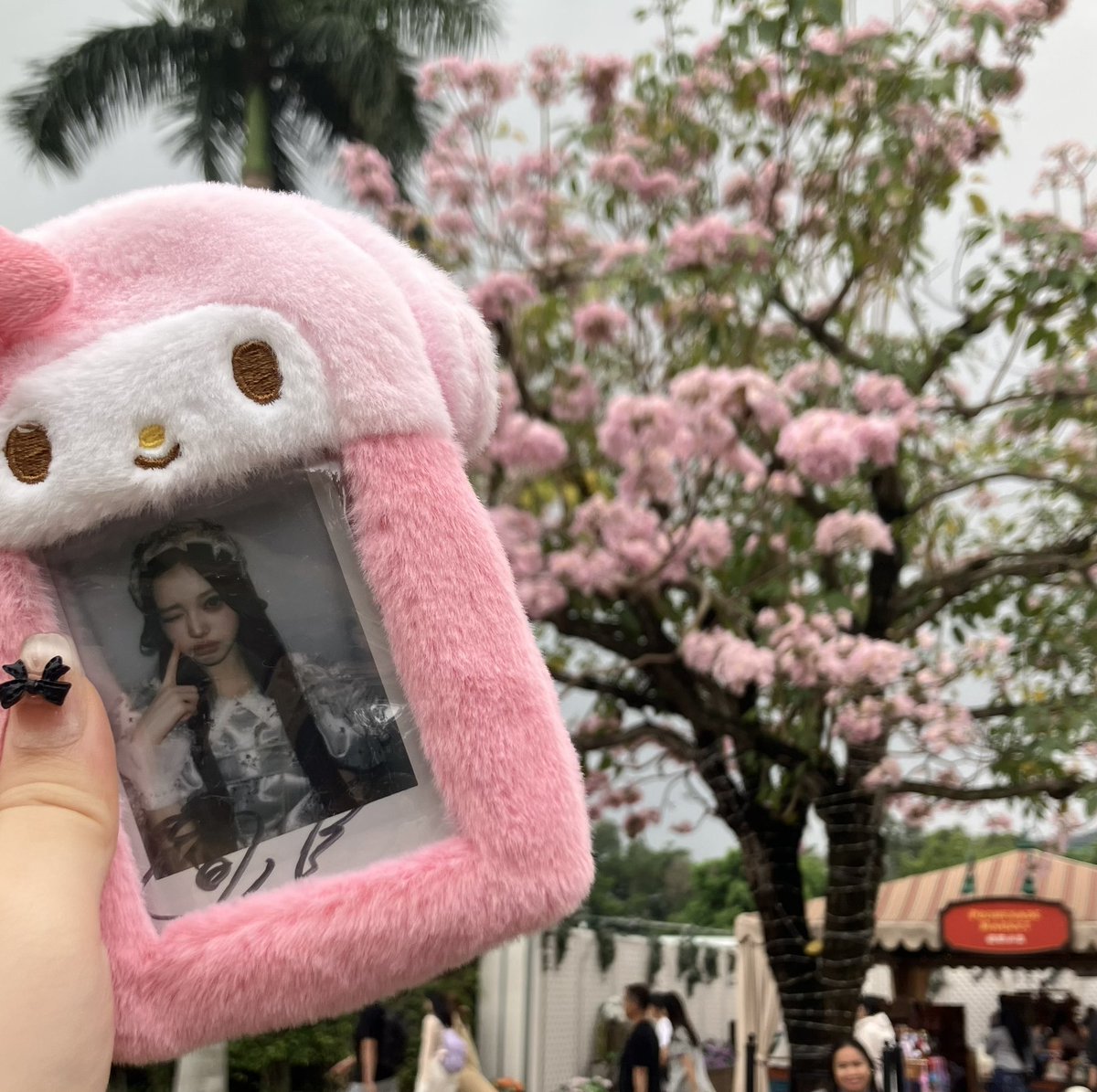 LennethU36536's tweet photo. ディズニーランドでのデート～ピンクの桜があなたにとてもよく似合いますよ～🩶🌸 #中山こはく https://t.co/Lrpg4NF9DP