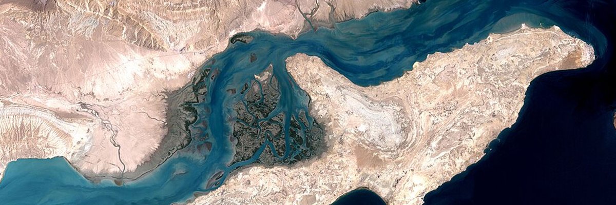 DOCS Education tweet media