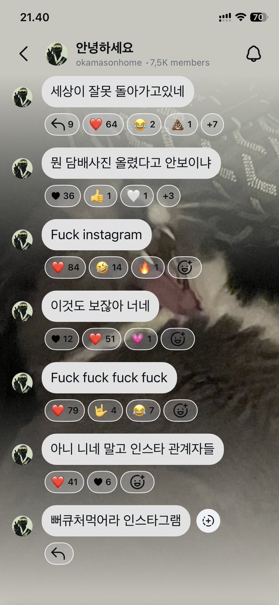 ࣪ c⋆ tweet media