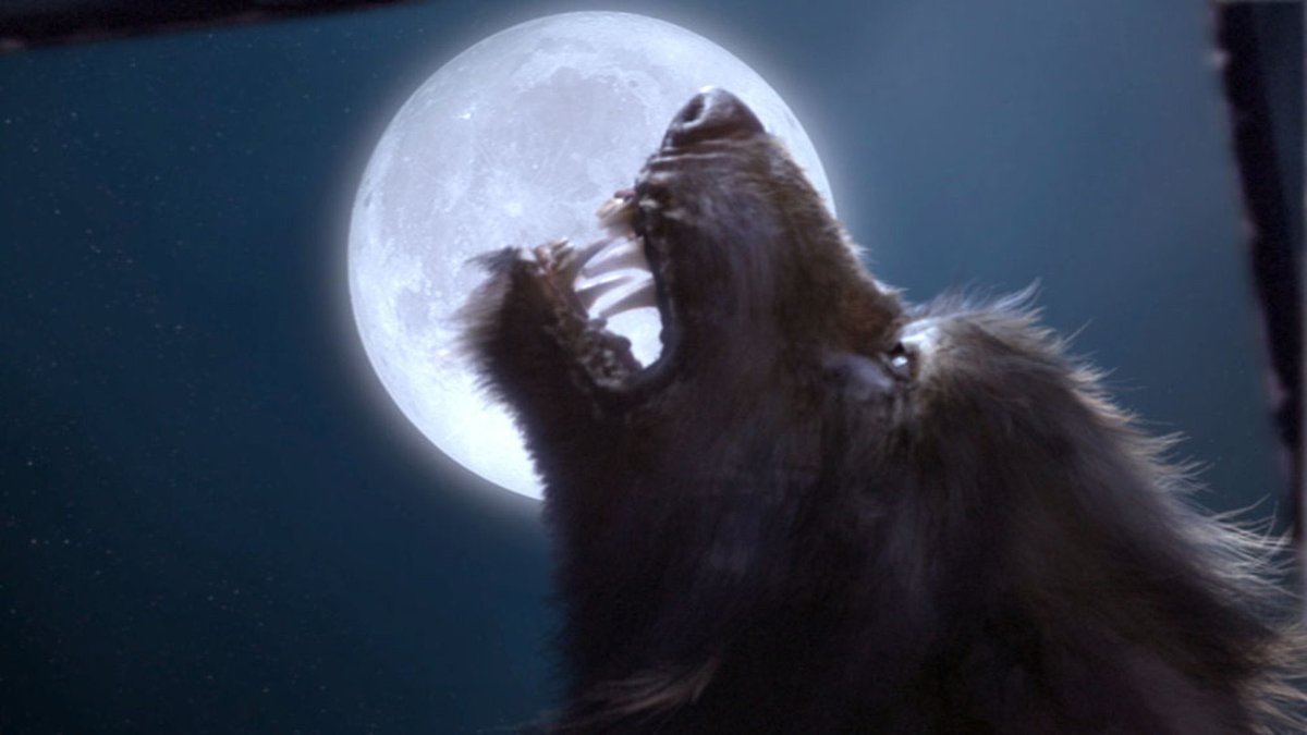 Owen 🌠 tweet media