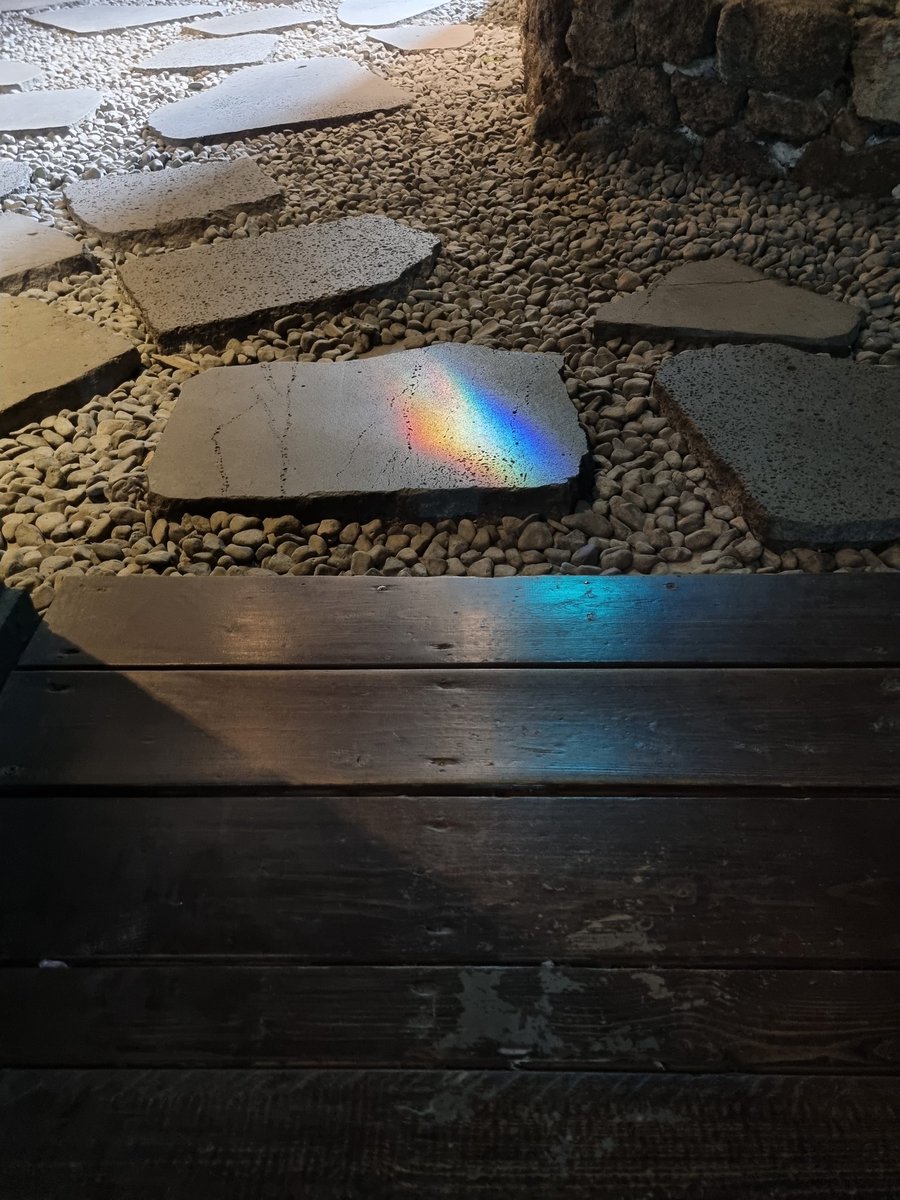 🎪🐙고동🐙 tweet media