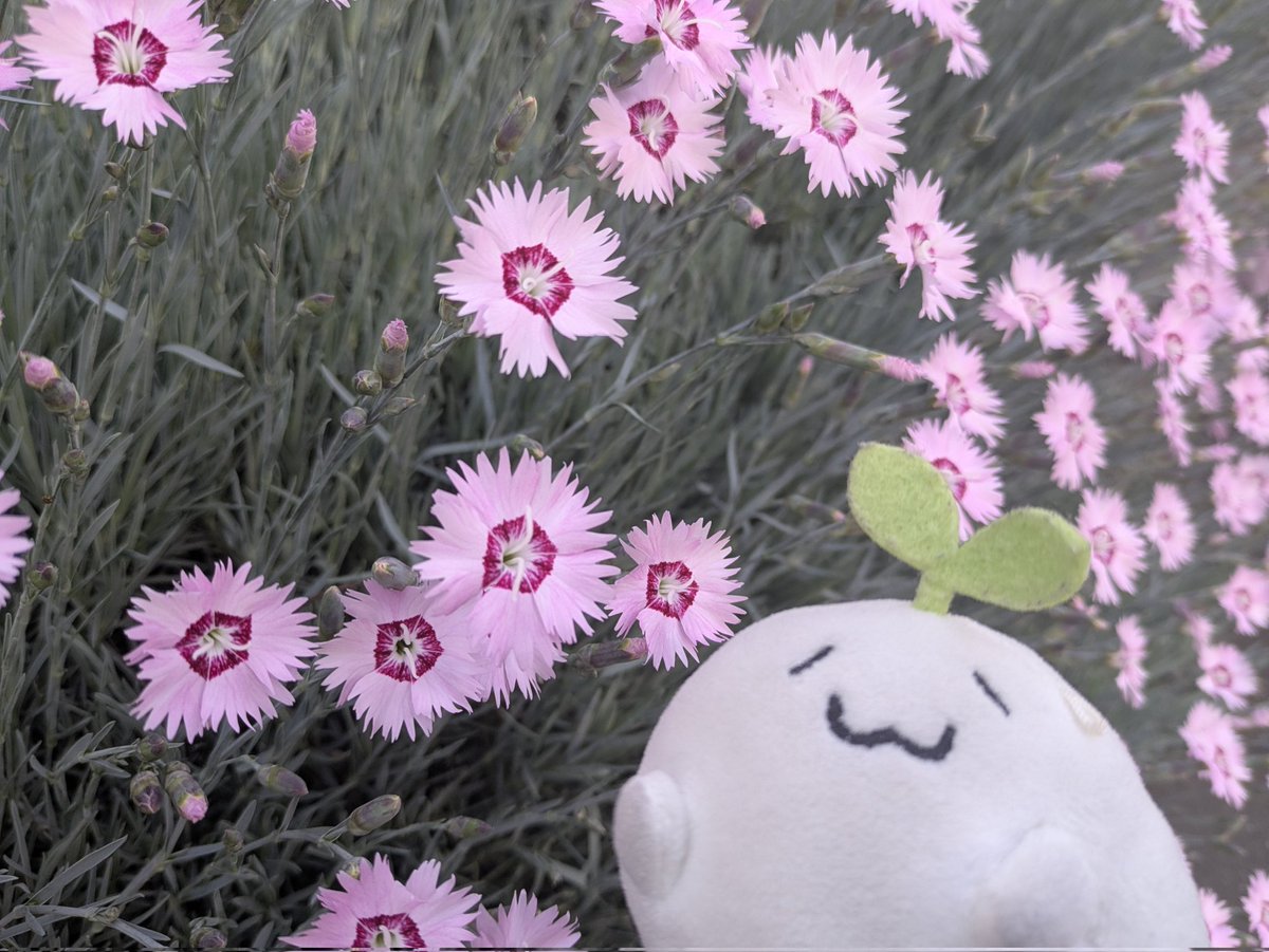 miyu_taka22🌏 tweet media