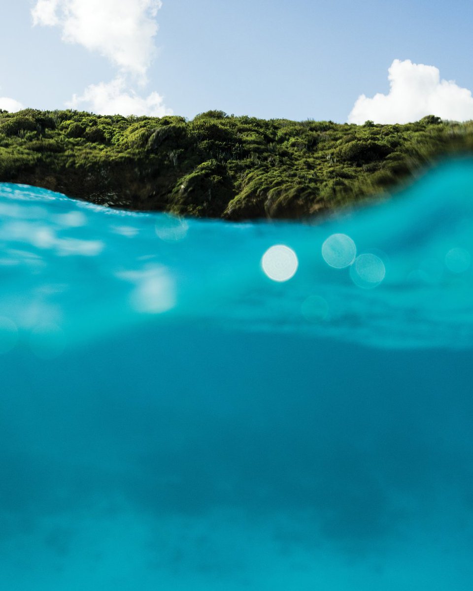 Visit USVI – U.S. Virgin Islands Dept. of Tourism tweet media