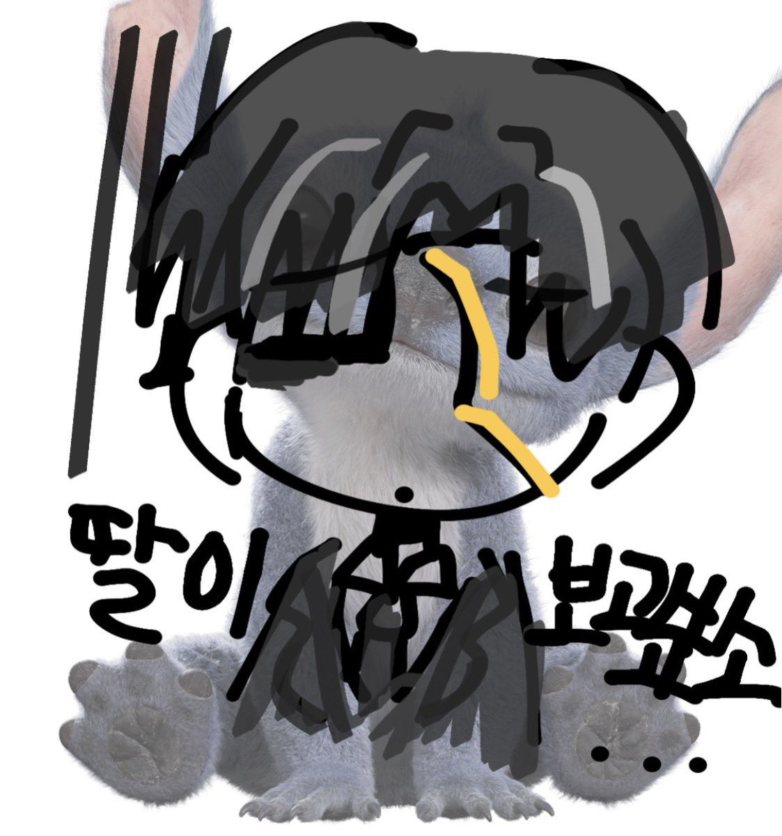 류이(트친소 찾아왔어요) tweet media