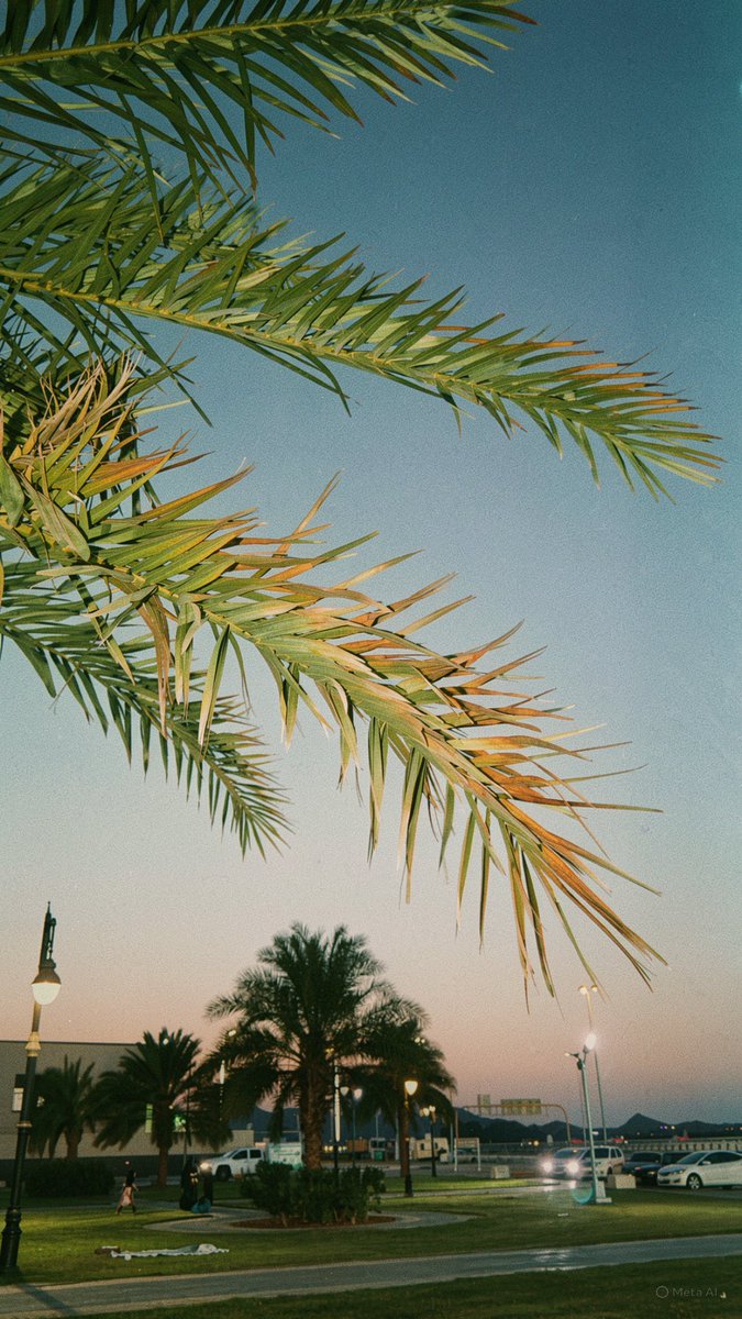 وَليد tweet media