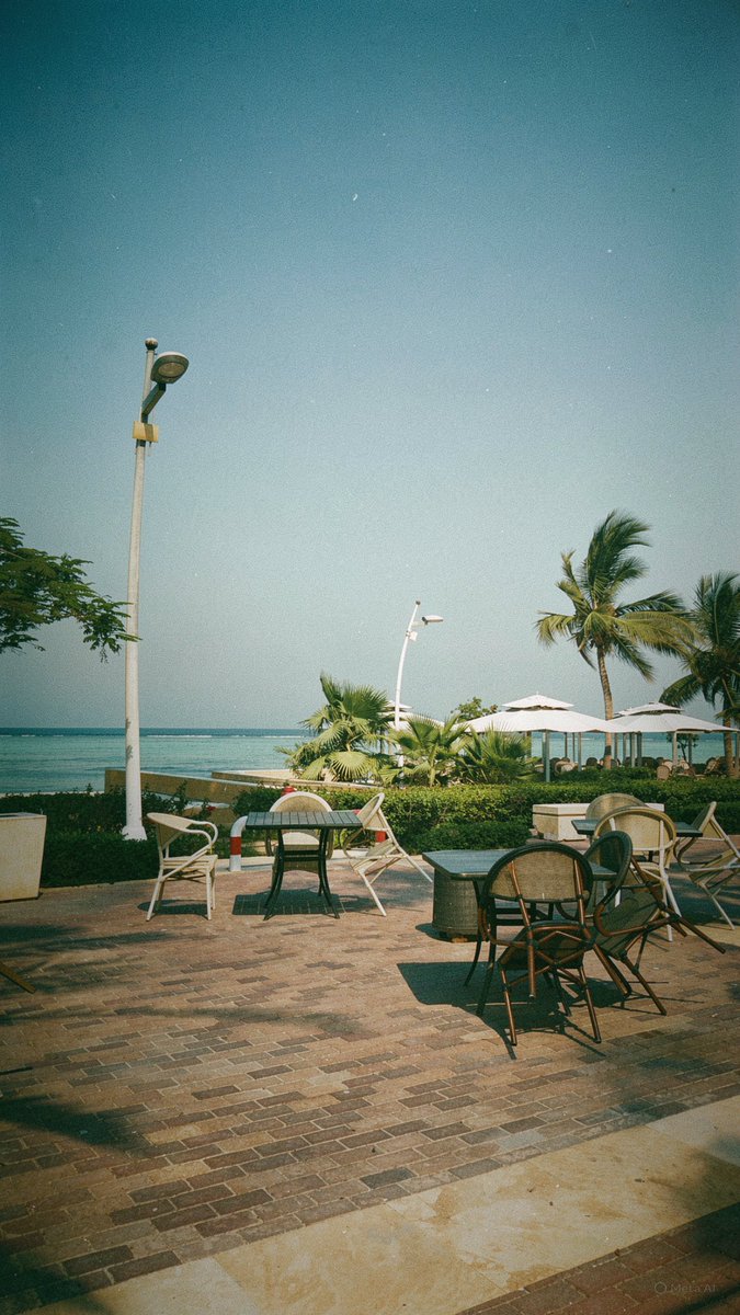 وَليد tweet media