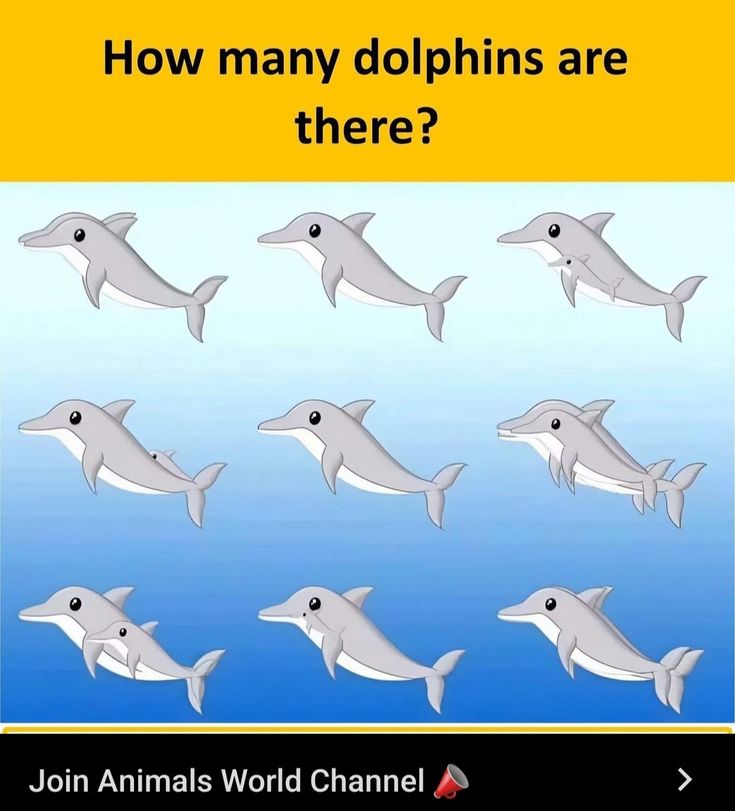 Faiza chitrali tweet media