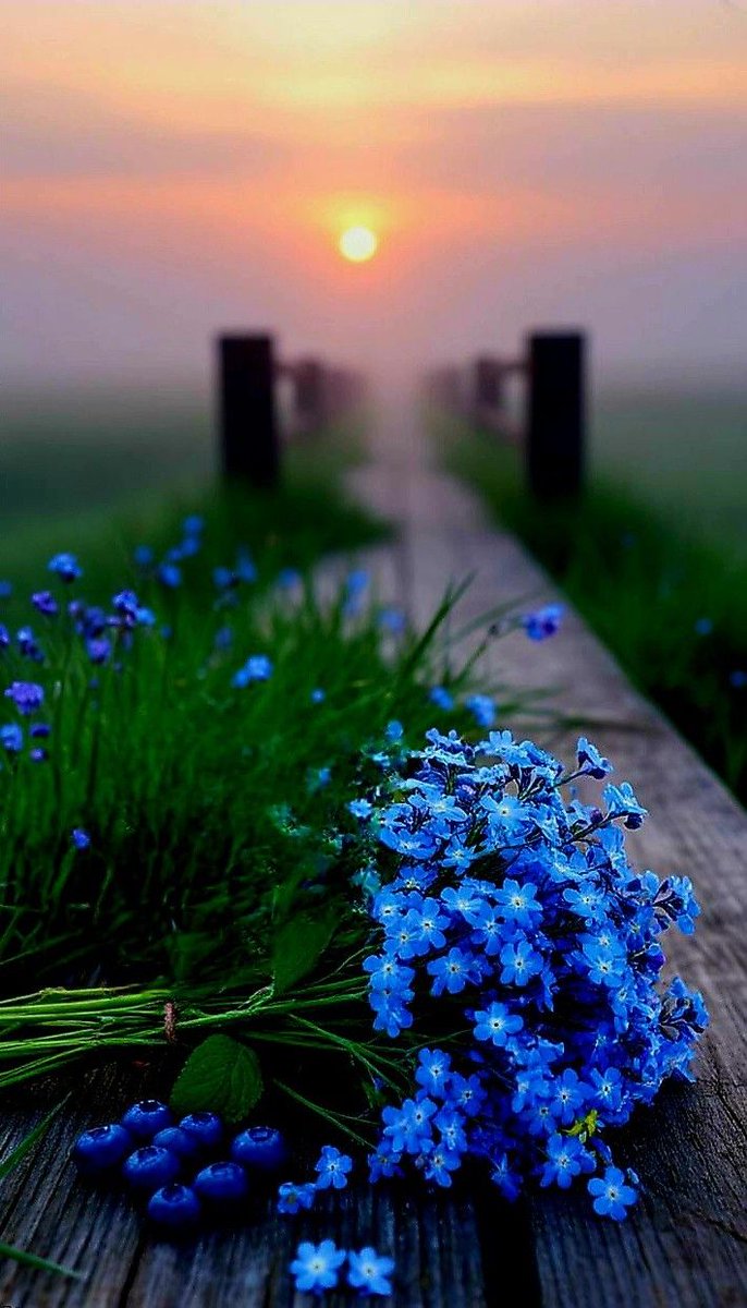 ✾𝕄𝕒𝕣𝕪𝕒✾ tweet media