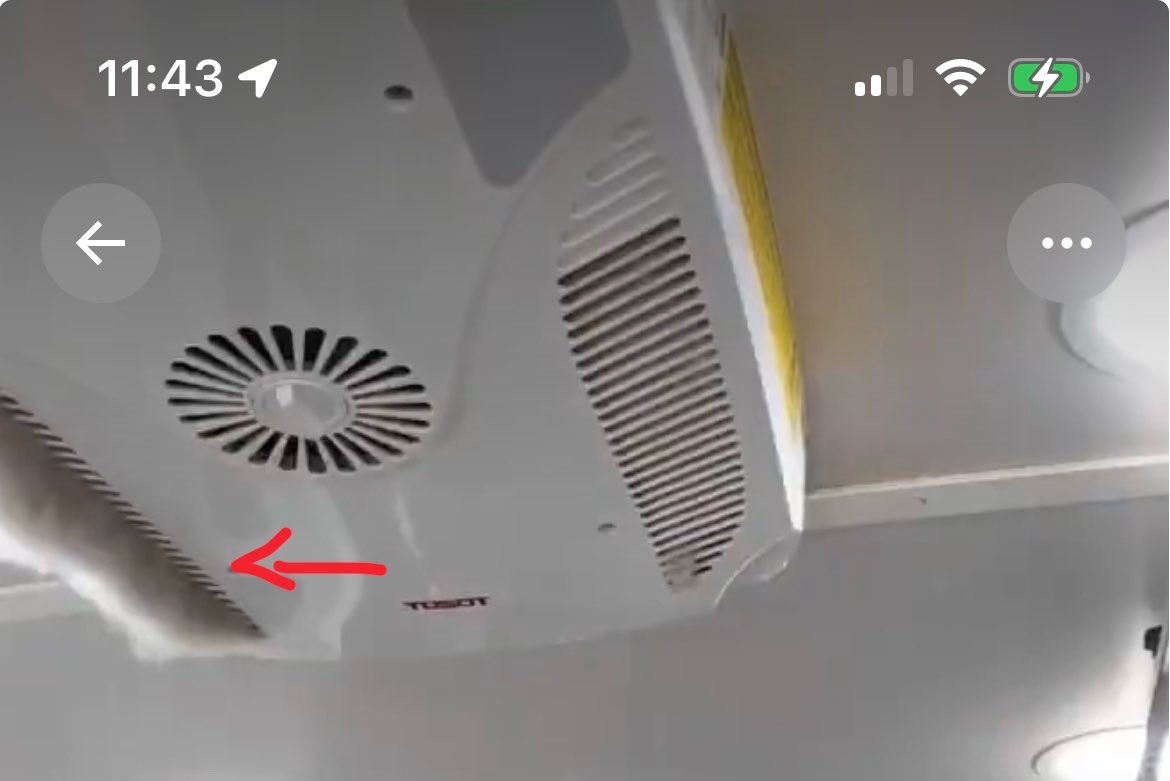 Débora Gregório tweet media