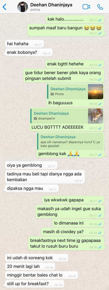 aya 🪭 tweet media