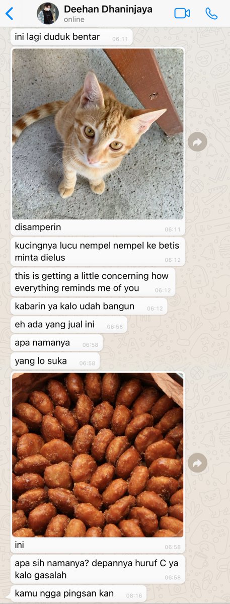 aya 🪭 tweet media