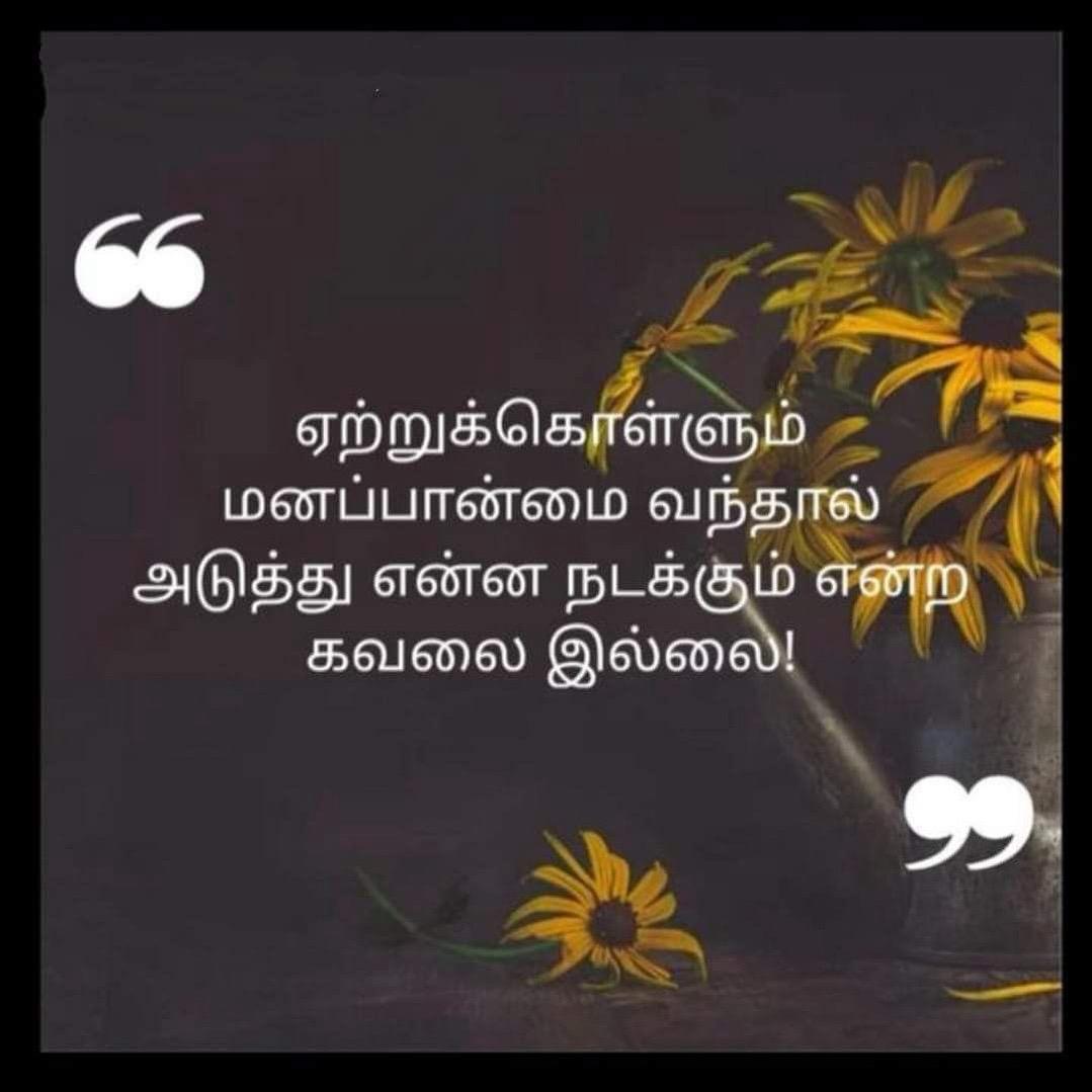 nithyaswam30209's tweet image. #PositiveVibesOnly #motivationdaily #calm