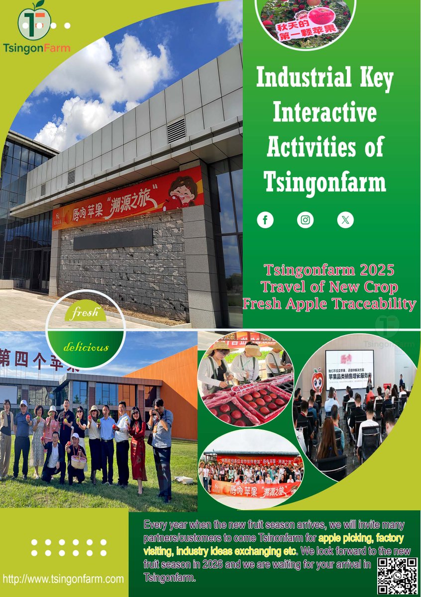 chrisjiachina's tweet image. Do you have any interest if you had been invited to attend an amazing activity in #Tsingonfarm #orchard? Every year when new #fruit season coming, we'll invite some cooperators and customers to our #factory to celebrate. This year, hope your coming~
