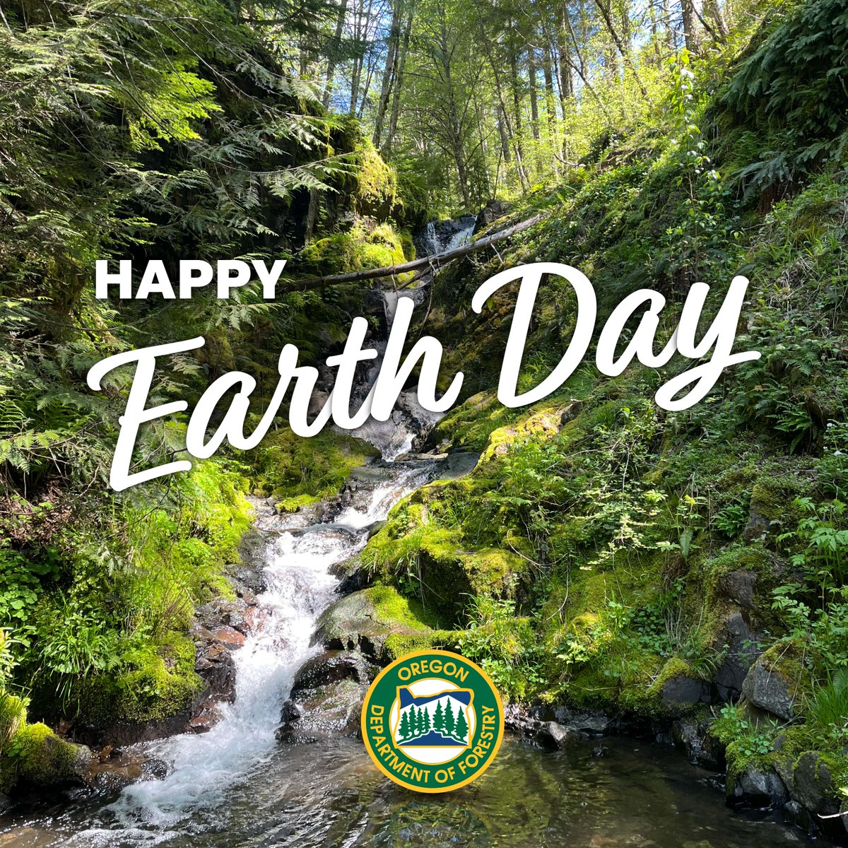 Oregon Forestry tweet media