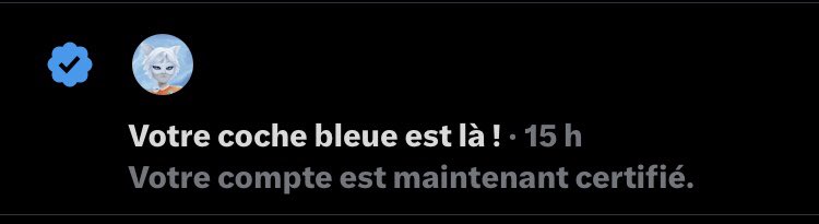 🤍🇻🇦 tweet media