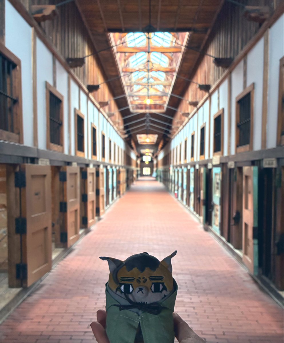 きょむきょむ tweet media