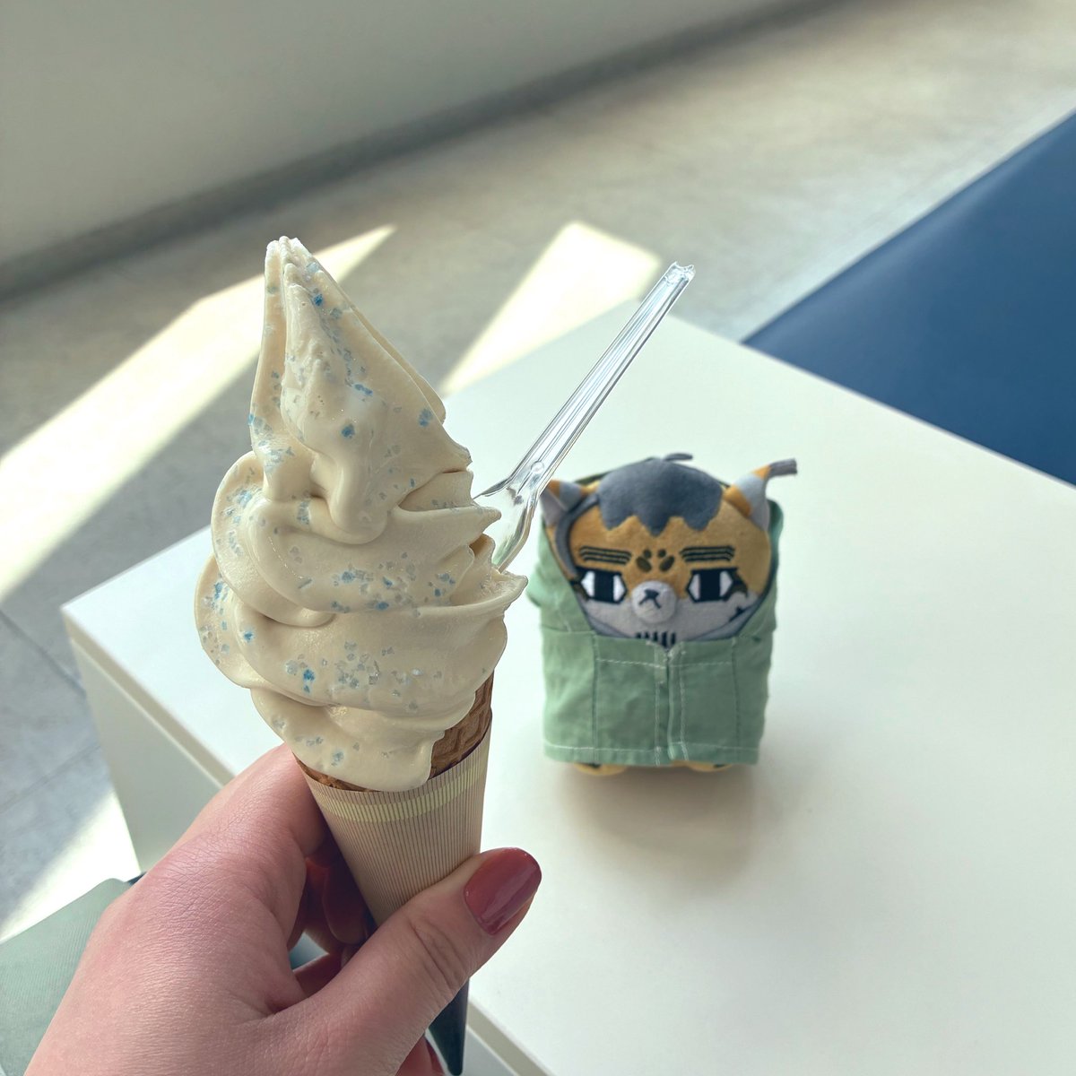 きょむきょむ tweet media