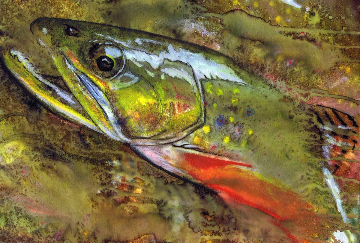 OscarJetson's tweet photo. Brook Trout Blaze – Wild Fly Fishing Art Print by Jack Tarpon https://t.co/nJuAr68Fn8 #OscarJetson #painting #art #FishArtwork https://t.co/DO3AzRnbst