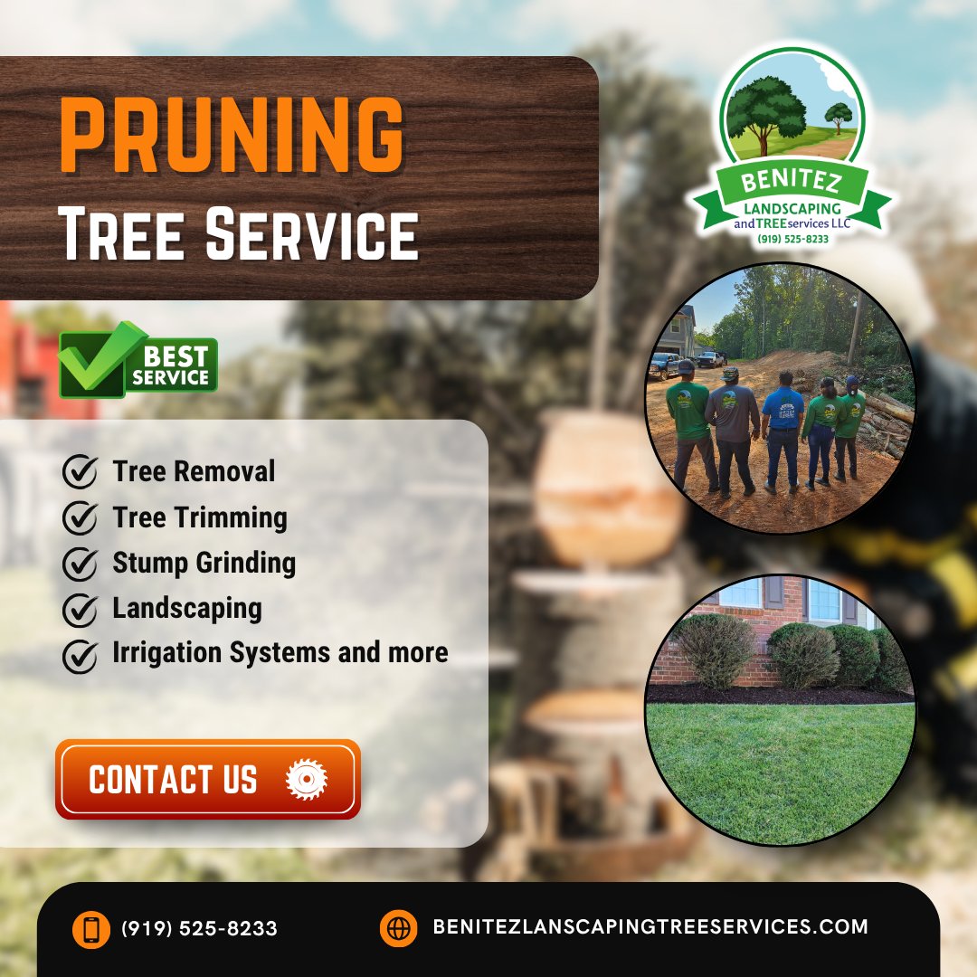 FelixBenit71825's tweet image. 🌳✨ Give your trees a new lease on life! ✨🌳
Proper maintenance not only improves the appearance of your yard, but also protects the health of your trees and the safety of your property.

#TreePruning #TreePruning #TreeCare #ProfessionalGardening #GardeningServices #Landscaping