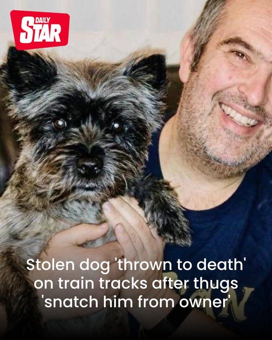 SCUMBAGS!! 🤬

Police have launched an investigation into the sickening death of Zak, a 12-year-old Cairn Terrier-type dog, who was killed after being struck by a train. 

Zak was being walked by Ryan Collins, the son of owner Janet Collins.  Ryan, described as a vulnerable