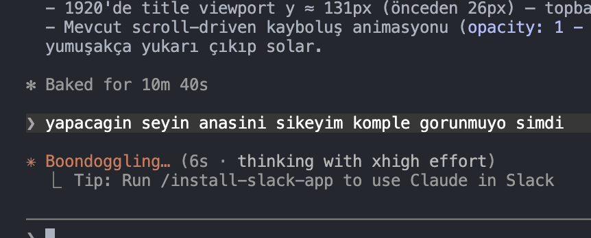 Samet Samyeli | gazla.co 🤘🏻 tweet media