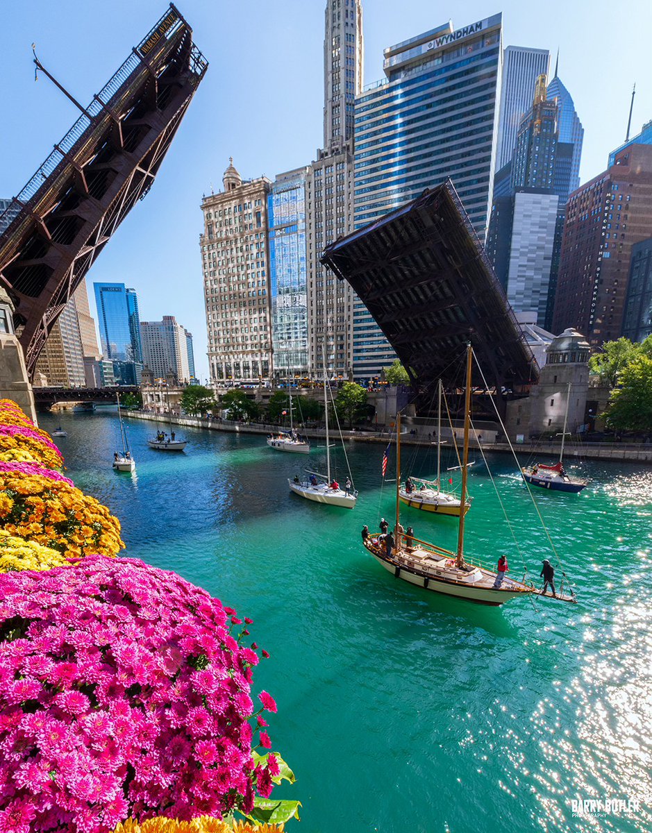 Choose Chicago tweet media