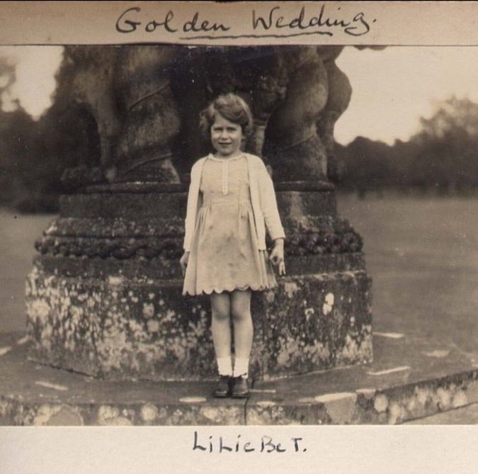 Ladybug🇨🇦 tweet media