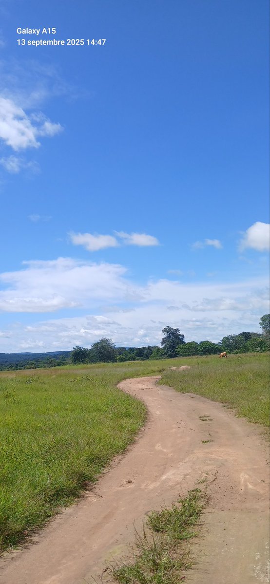 Benjamin Prime 2.0 tweet media