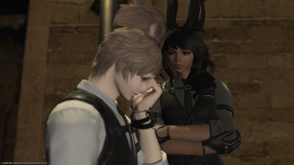 보기절테리어(상태:번탈즈) tweet media