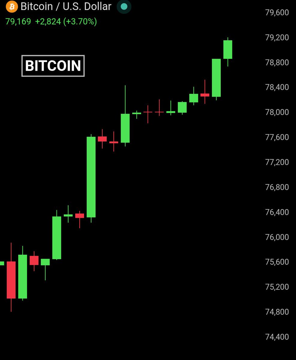 Bull Theory tweet media