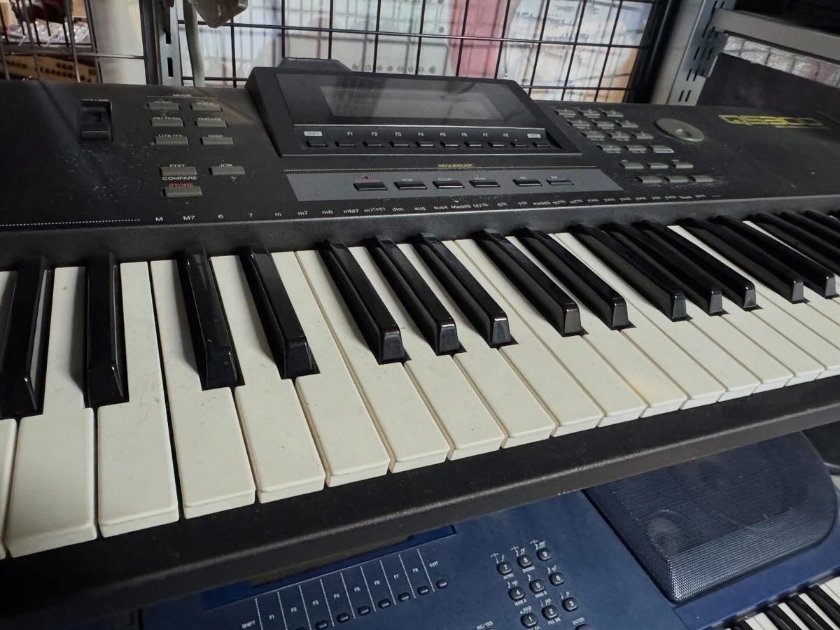 シアン　Galulu Music tweet media