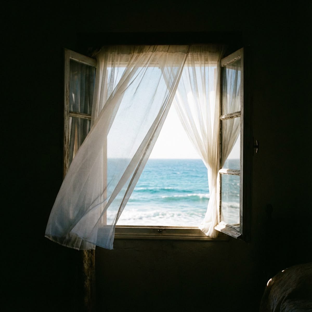 𝖮𝗅𝗅𝗂𝖾, tweet media