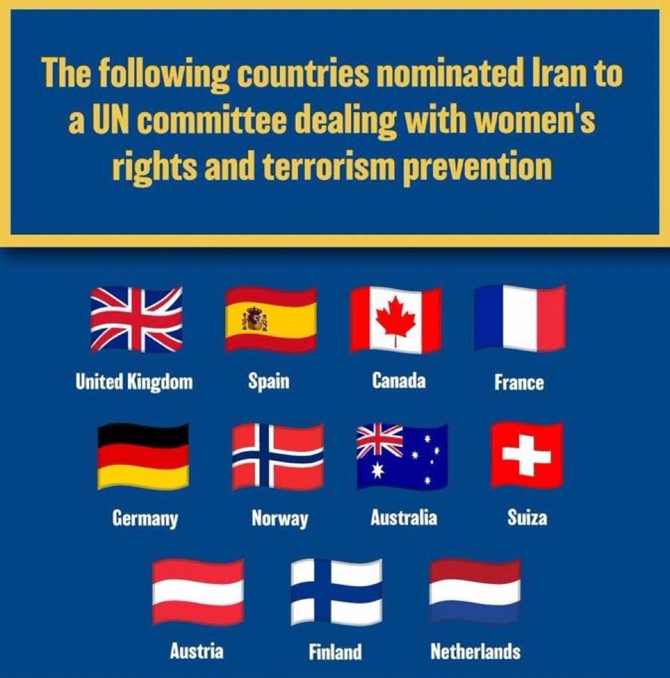 Liza Rosen tweet media