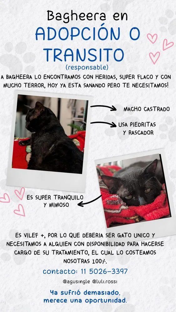 Yags 🇦🇷 tweet media