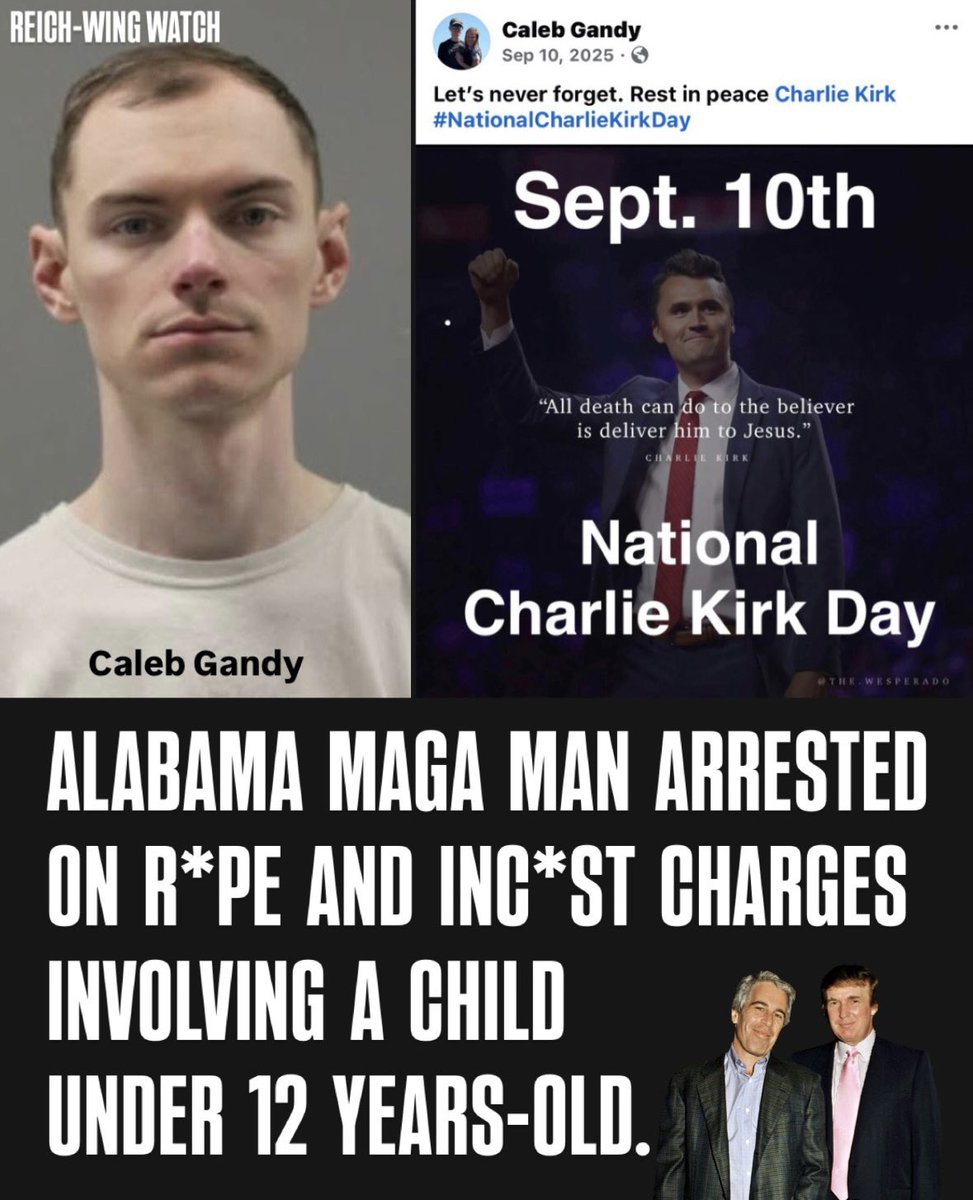 Reich-Wing Watch tweet media