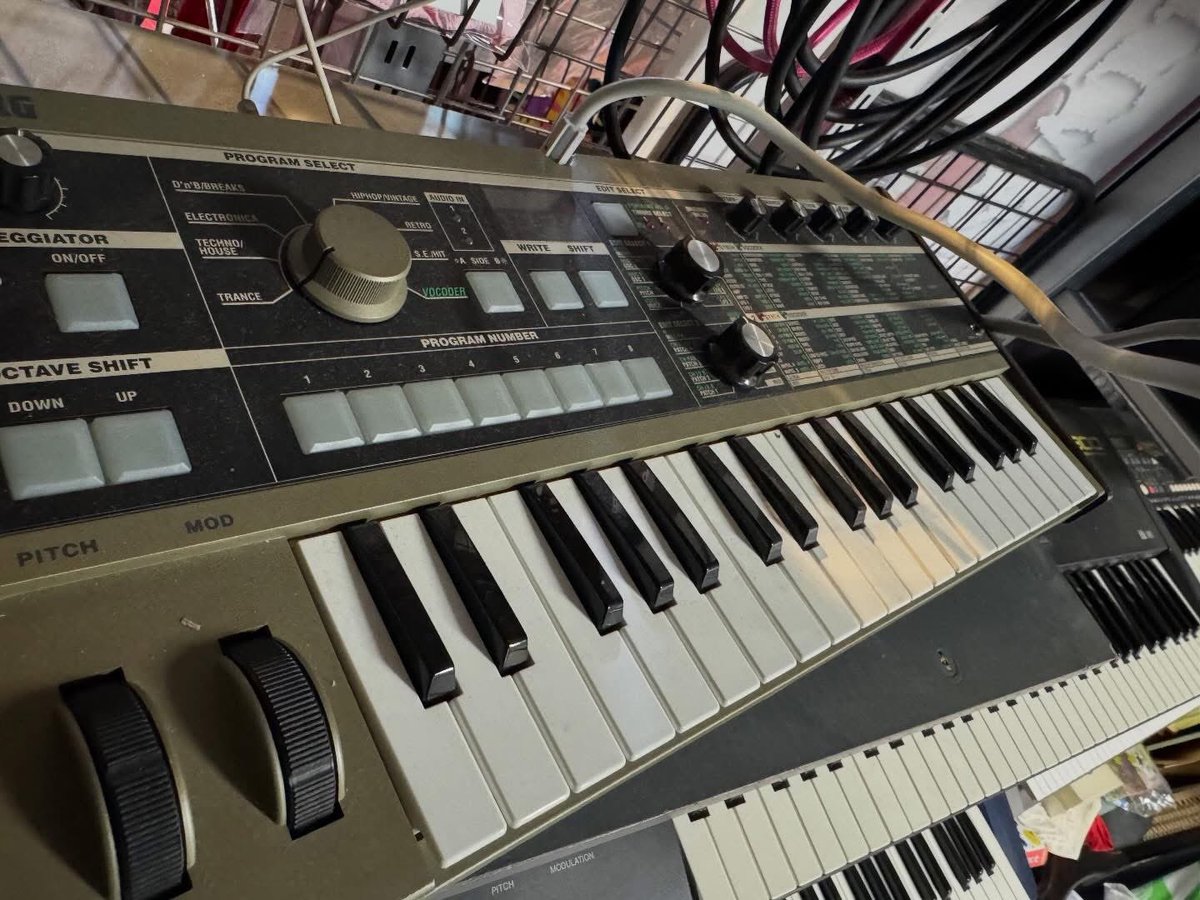 シアン　Galulu Music tweet media