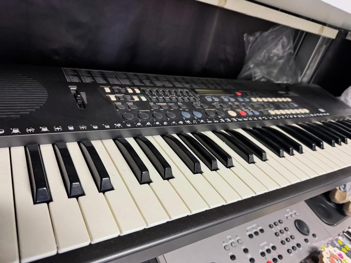 シアン　Galulu Music tweet media