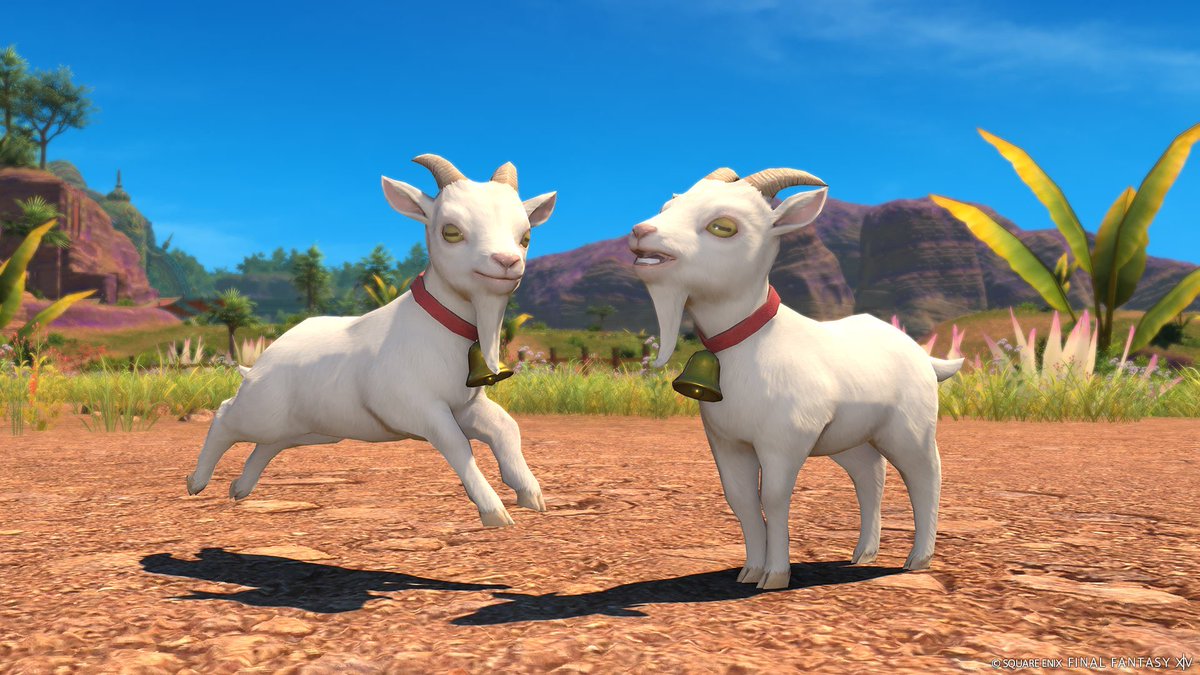 Final Fantasy XIV me donne envie de pleurer
Pas des larmes de tristesse, non, mais des larmes de joie
Des larmes nécessaire, qui me permettent d’enfin tourner la page.
Je remercie infiniment Square Enix car après toute cette interminable attente on a ENFIN une mascotte Koana