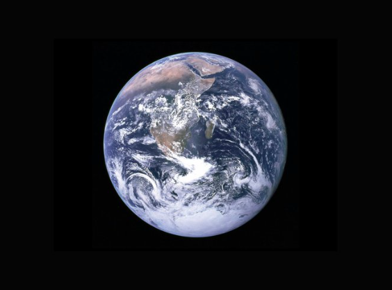 America First Policy Institute tweet media