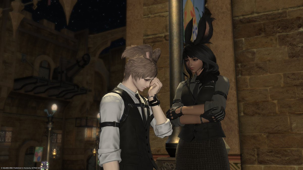 보기절테리어(상태:번탈즈) tweet media