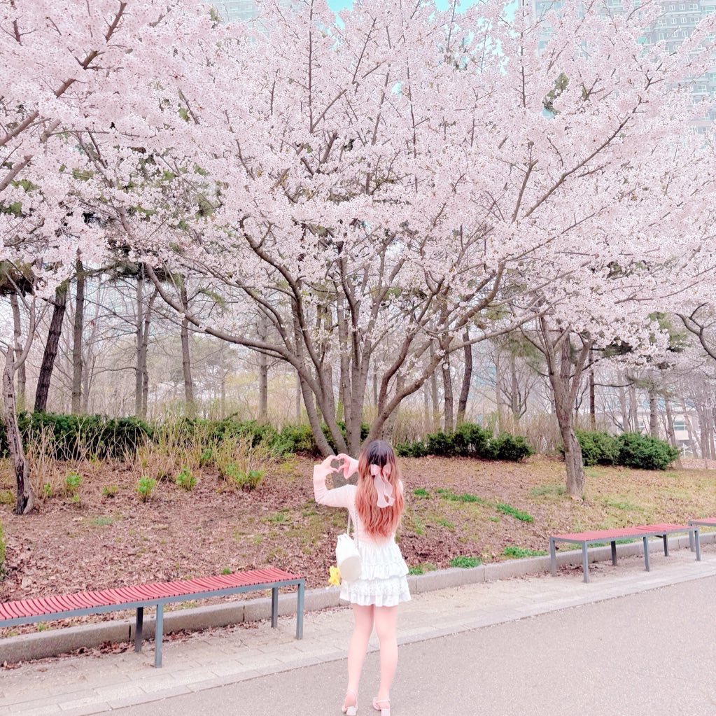 다빈 ✿ tweet media