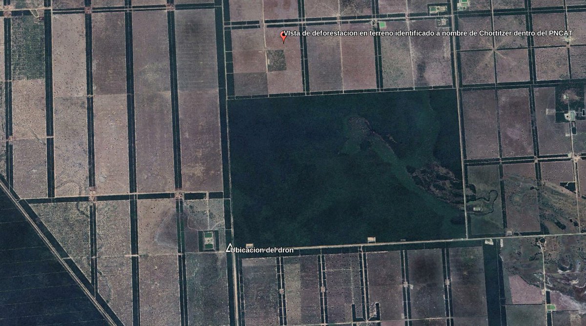 Maximiliano Manzoni tweet media