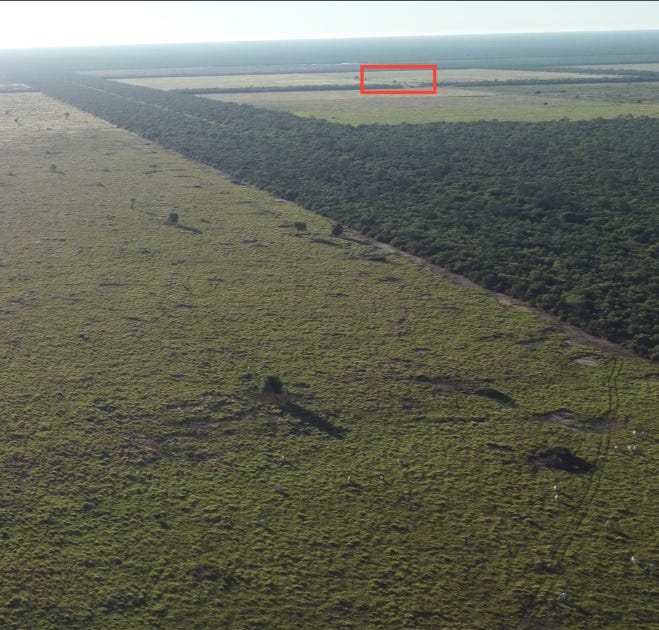 Maximiliano Manzoni tweet media